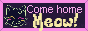 Cute site link button that says Come Home Meow, it's a pun and a play on words